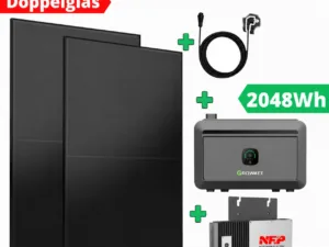 Solarmodule und Wechselrichter Set